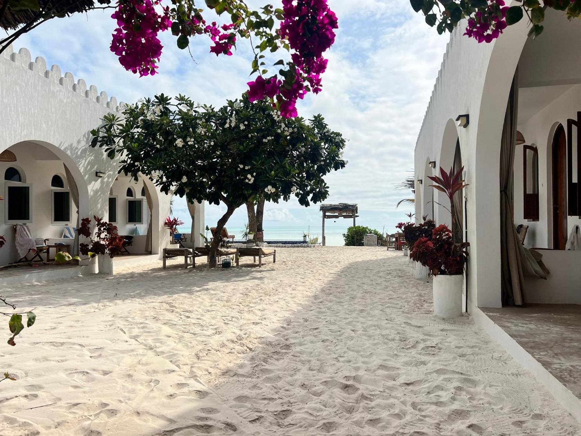 Coco Beach Hotel Jambiani  Exterior photo